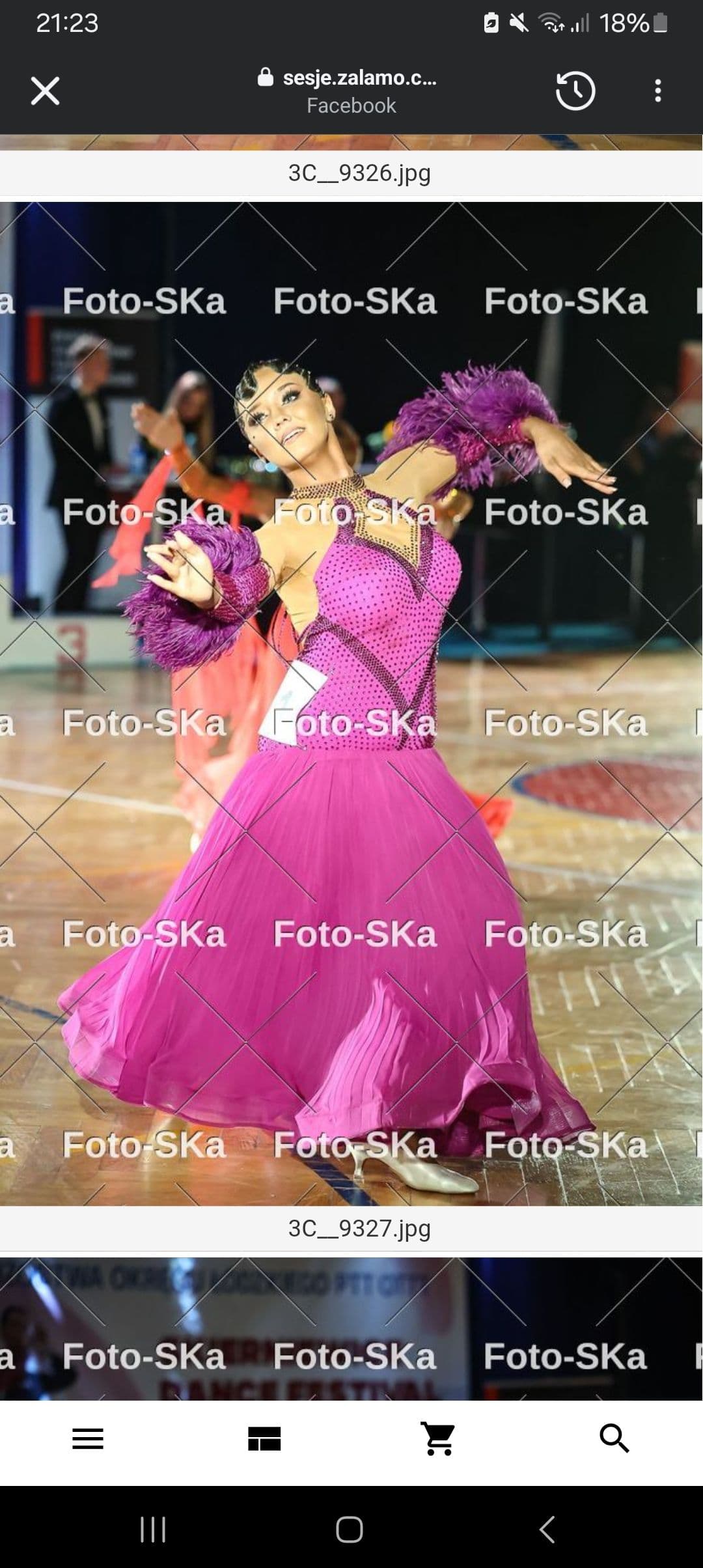 Purple Standard Dress with Feathers and Swarovski Crystals - 1