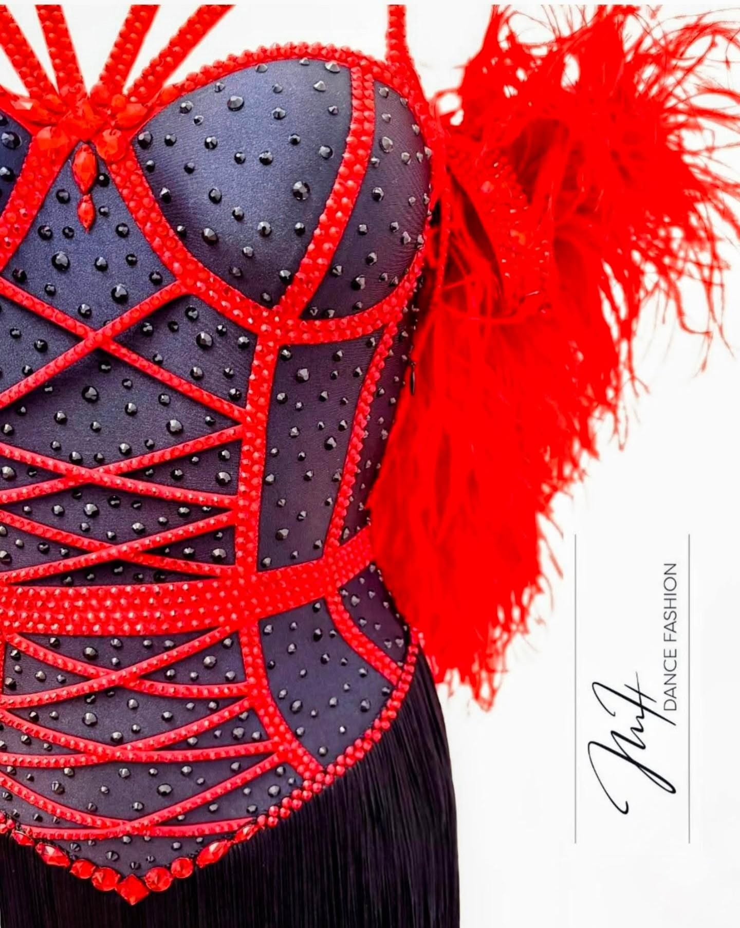 Red & Black Latin Dress with Fringe and Feather Boa by JMH Dance Fashion - 2
