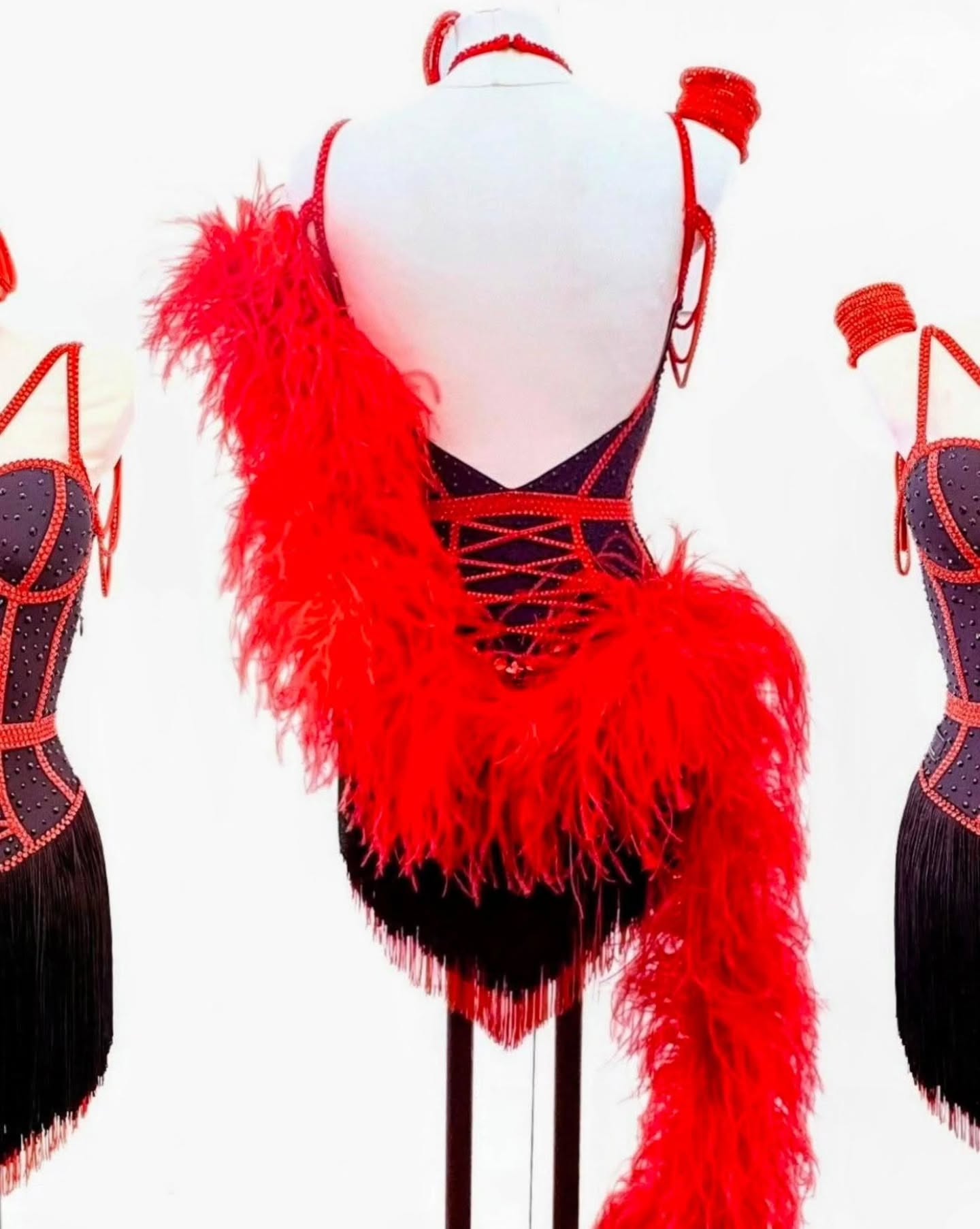 Red & Black Latin Dress with Fringe and Feather Boa by JMH Dance Fashion - 4