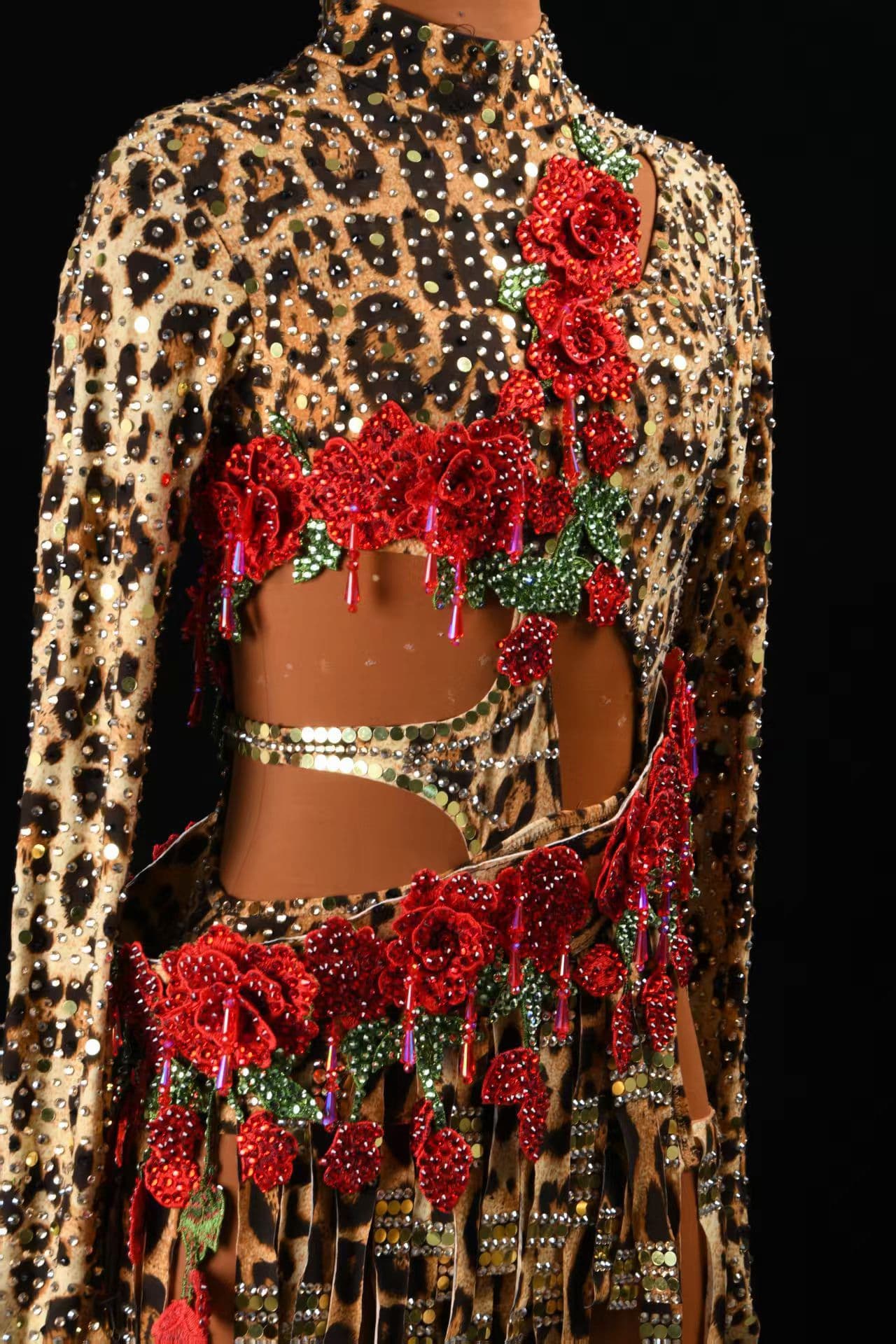 Leopard Latin Dress with Red Roses and Swarovski Crystals - 2