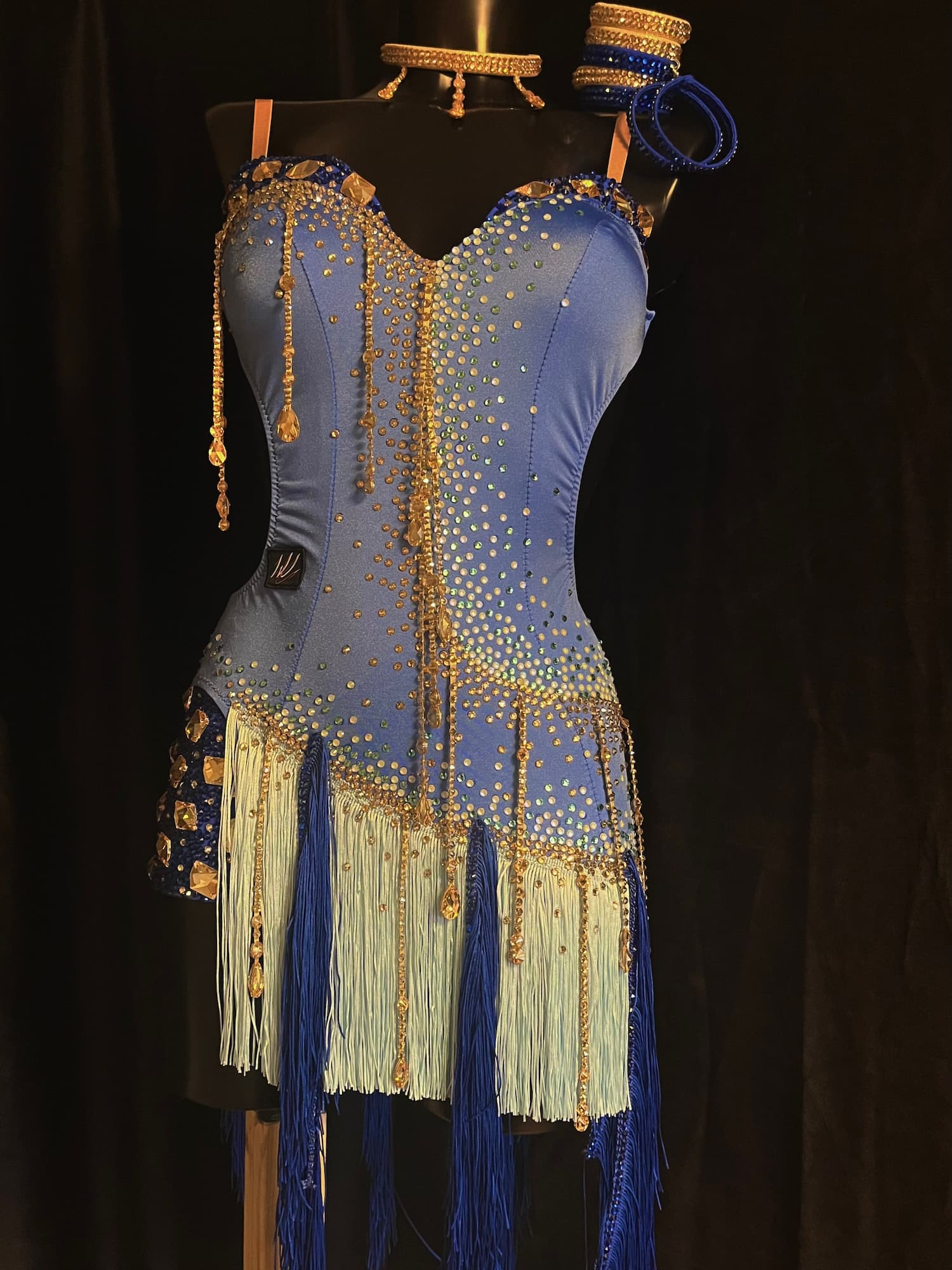 Blue Latin Dress with Swarovski Crystals and Full Fringe - 1