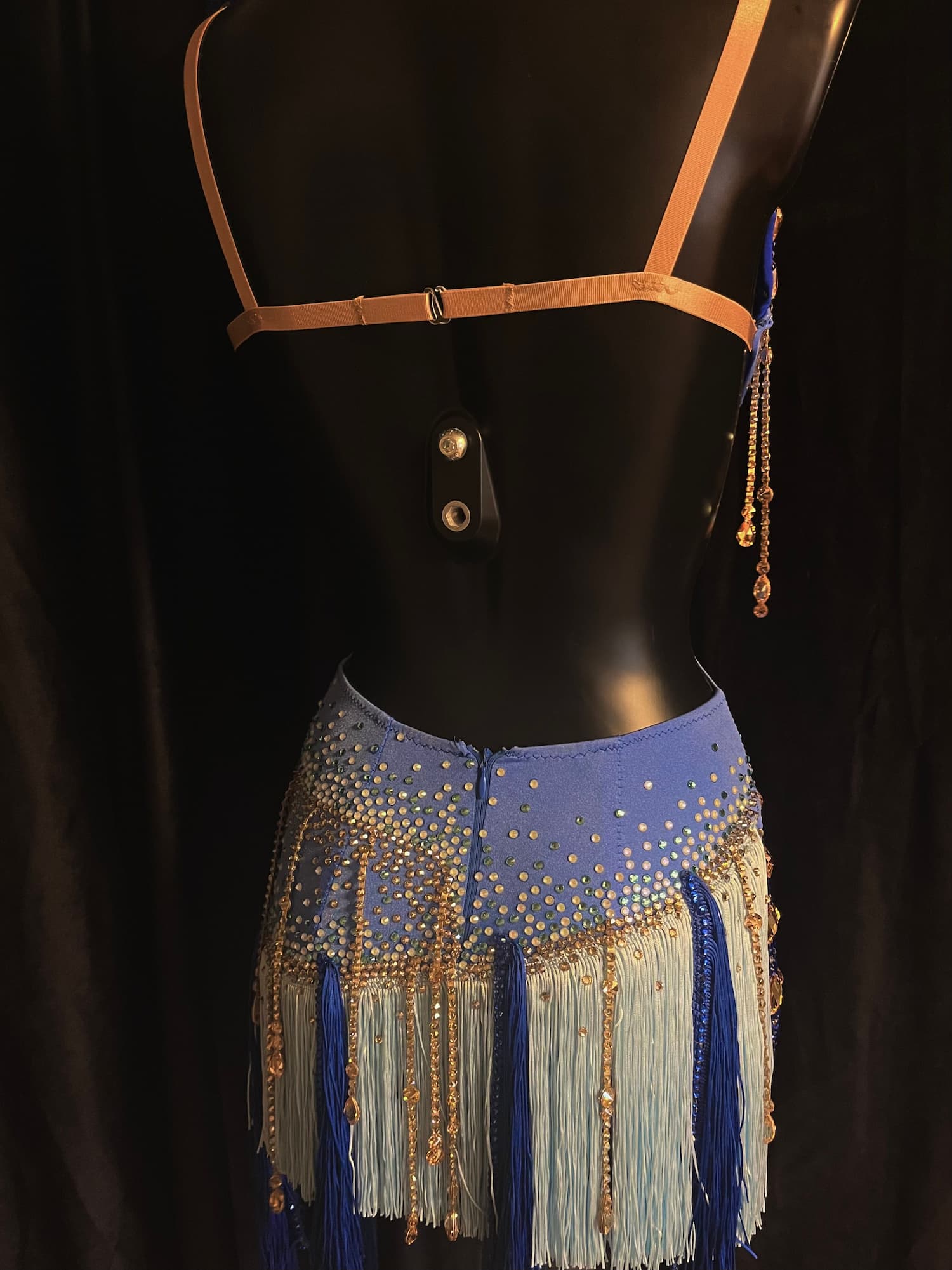 Blue Latin Dress with Swarovski Crystals and Full Fringe - 2